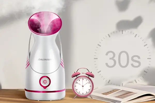 Facial Steamer